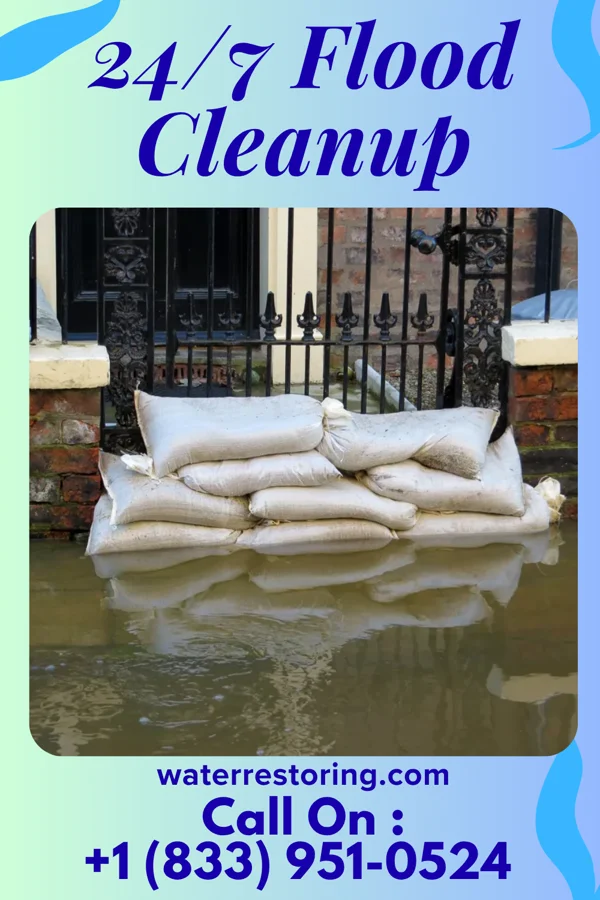 24/7 Flood Cleanup in Advance, IN
