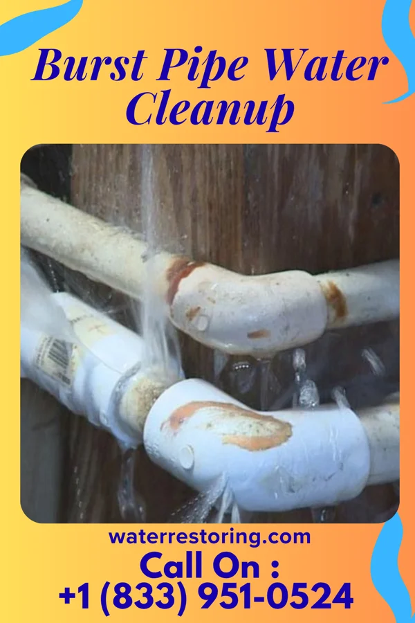 Burst Pipe Water Cleanup in Advance, IN