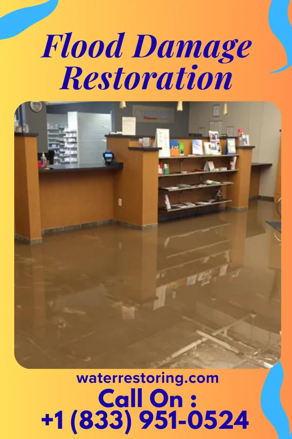 Flood Damage Restoration in Advance, IN