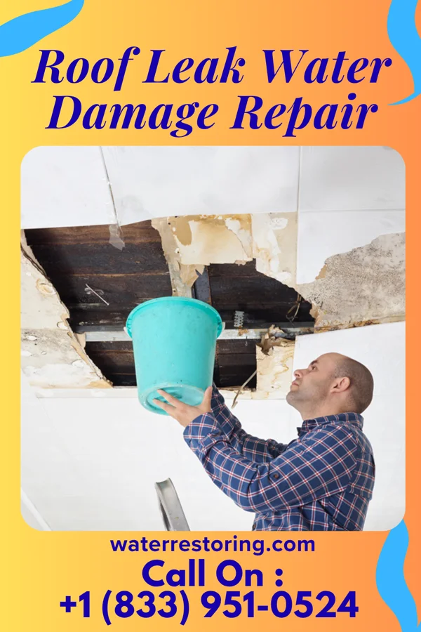 Roof Leak Water Damage Repair in Advance, IN