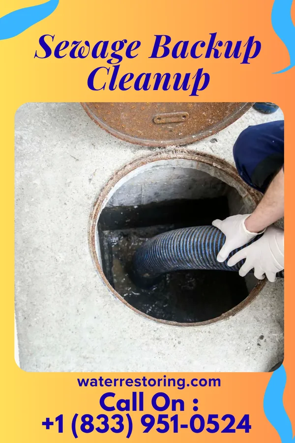 Sewage Backup Cleanup in Advance, IN