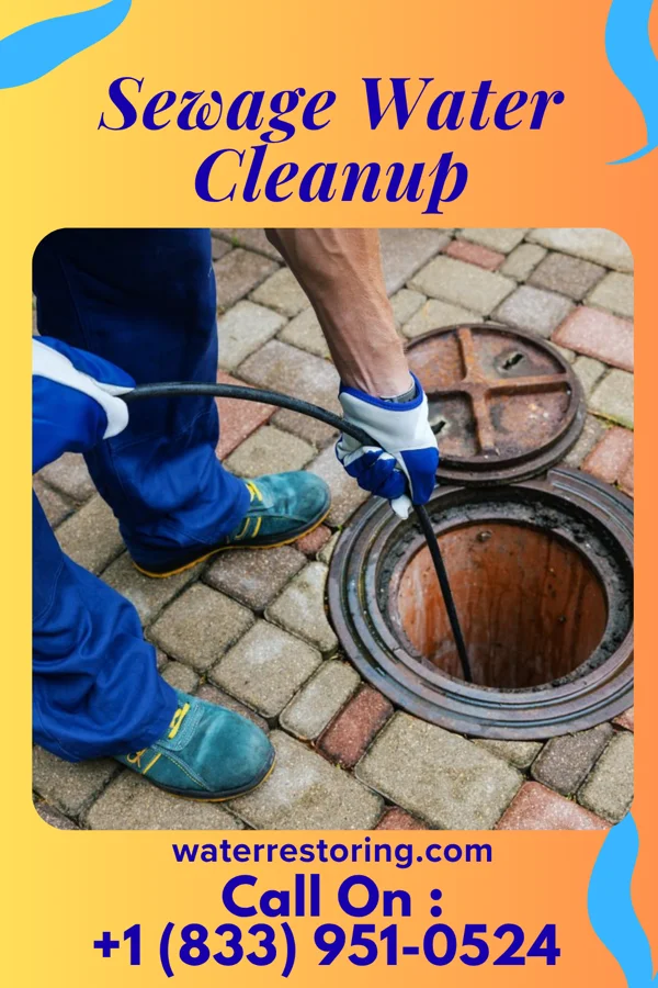 Sewage Water Cleanup in Advance, IN